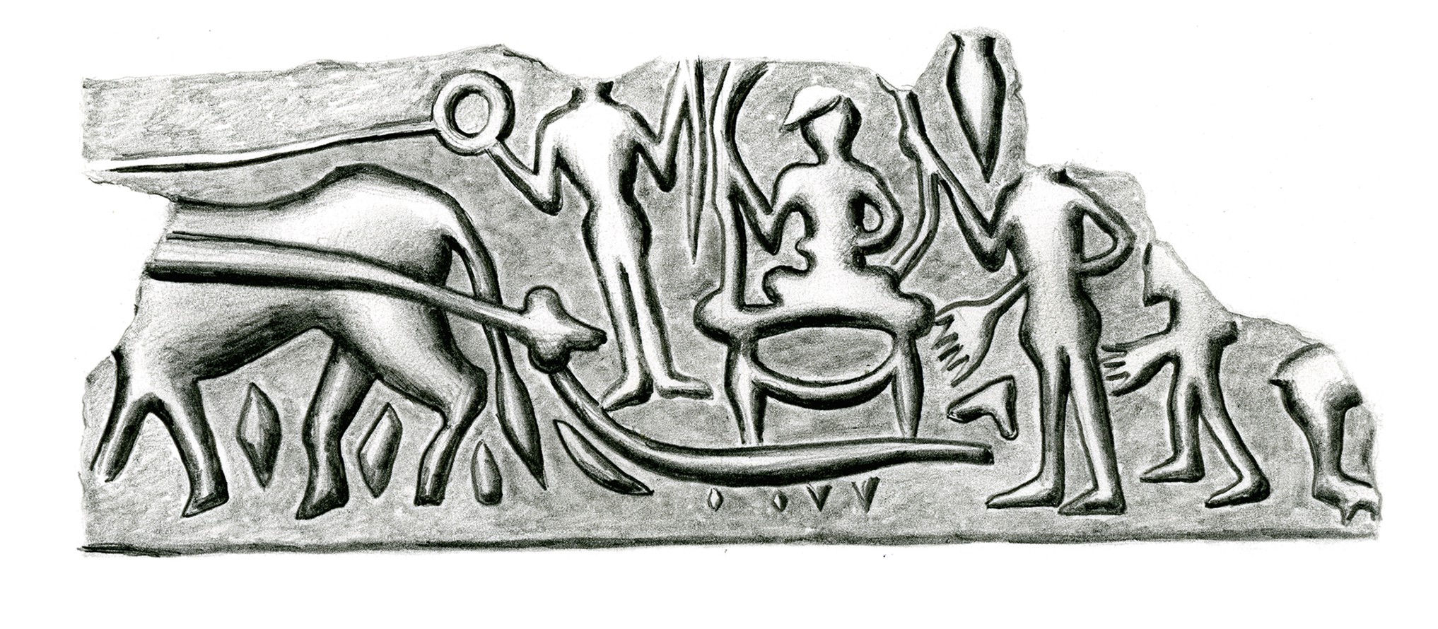 descrizione immagine