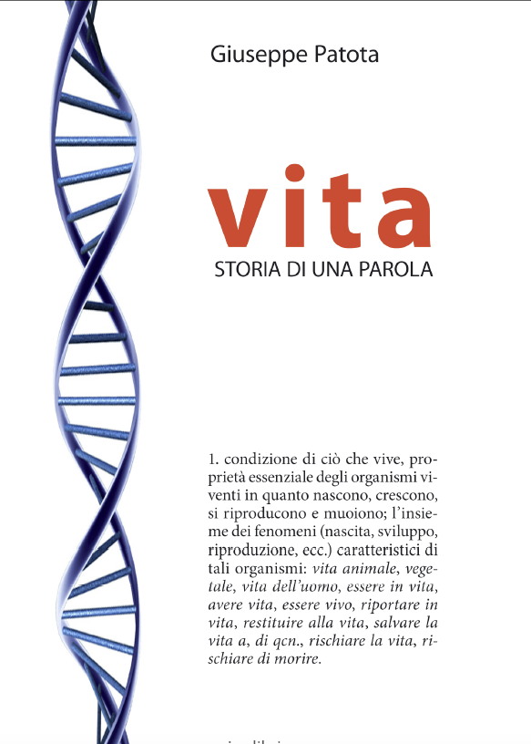 descrizione immagine