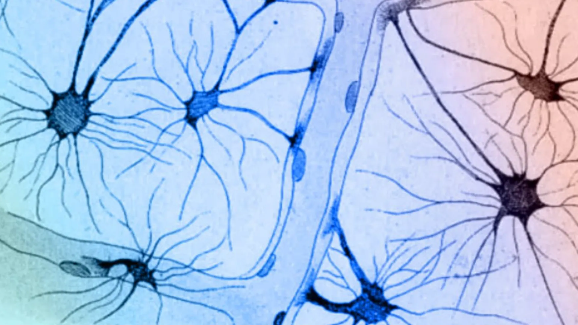 From Golgi to modern Neuroscience