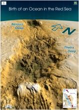 Immagine convegno Oceani